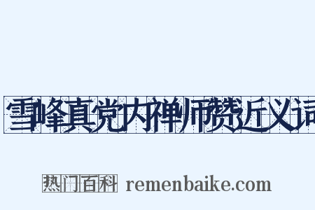 雪峰真党内禅师赞近义词是什么意思的图片